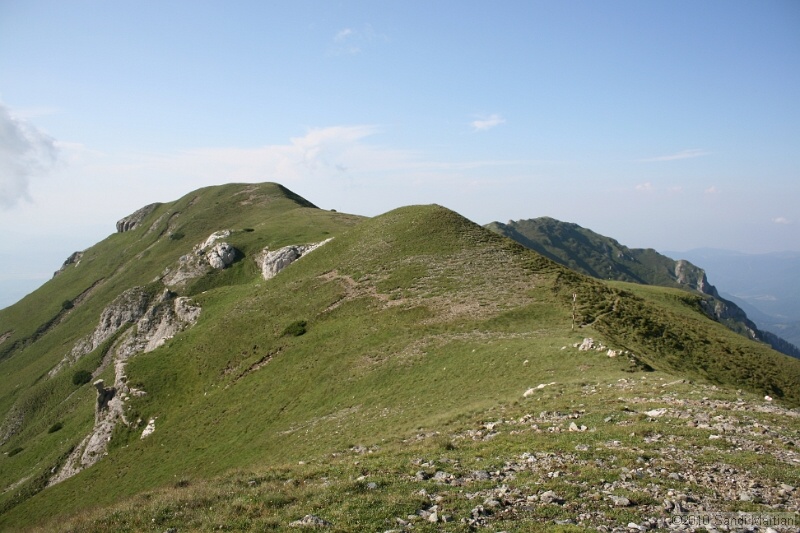 IMG_1862.jpg