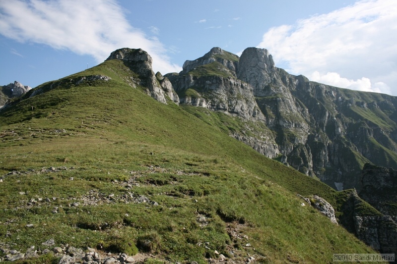 IMG_1863.jpg