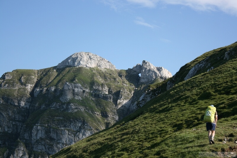 IMG_1865.jpg