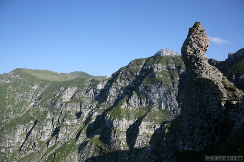 IMG_1867.jpg