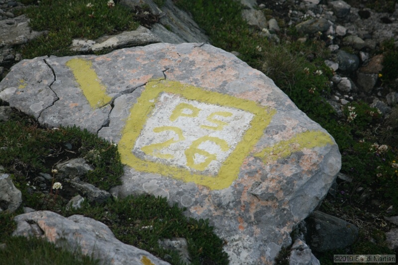 IMG_1885.jpg