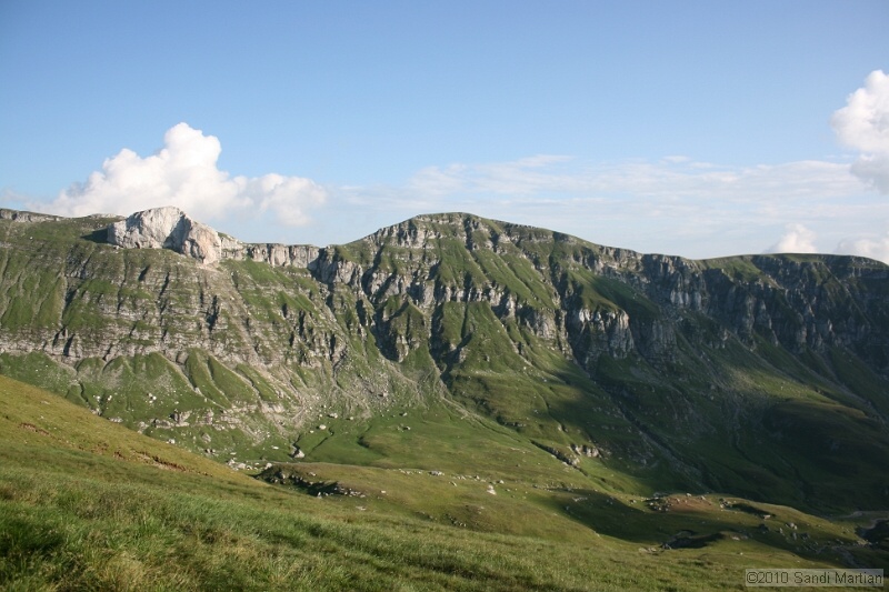 IMG_1890.jpg