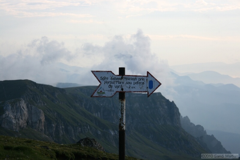 IMG_1900.jpg