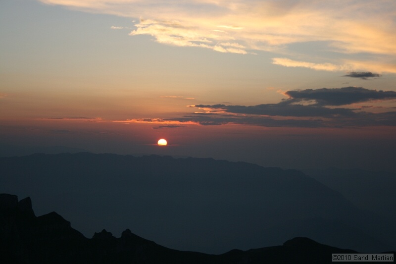 IMG_1951.jpg