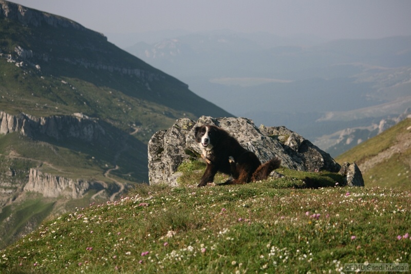 IMG_1977.jpg