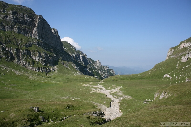 IMG_2000.jpg
