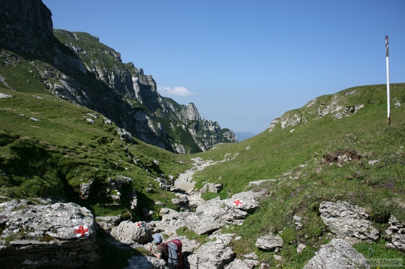 IMG_2007.jpg