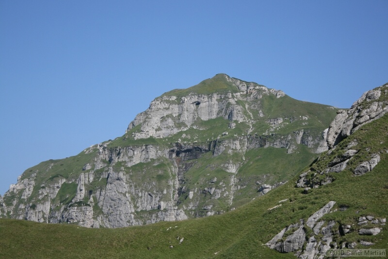 IMG_2015.jpg