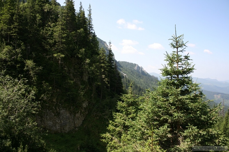 IMG_2028.jpg
