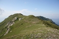 IMG_1862