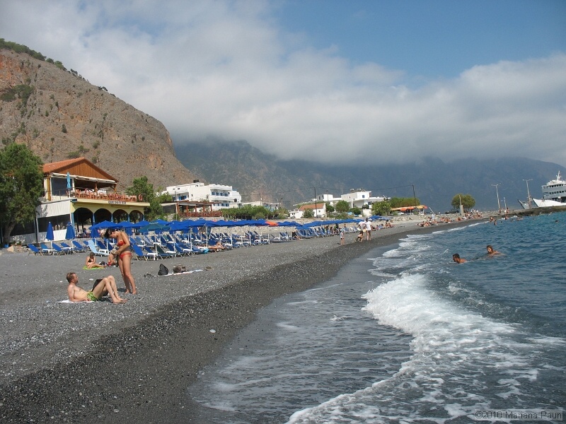 IMG_2264.jpg