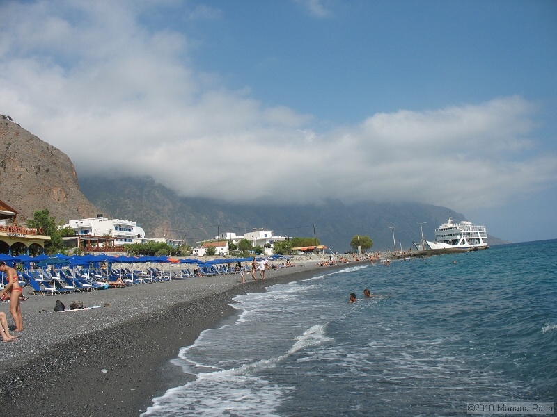 IMG_2265.jpg