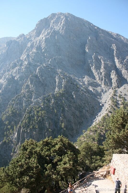 IMG_3720.jpg