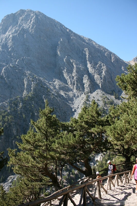 IMG_3724.jpg