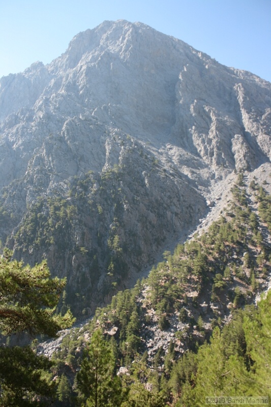 IMG_3736.jpg