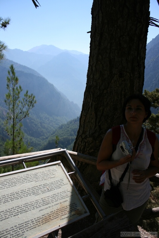 IMG_3739.jpg