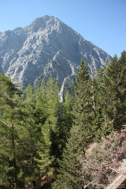 IMG_3742.jpg