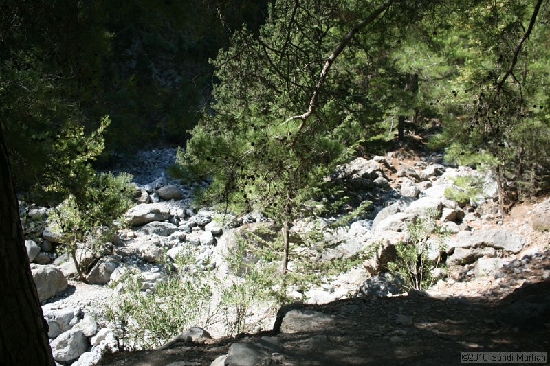 IMG_3752.jpg