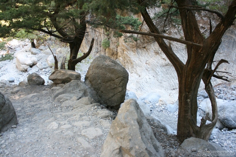IMG_3762.jpg