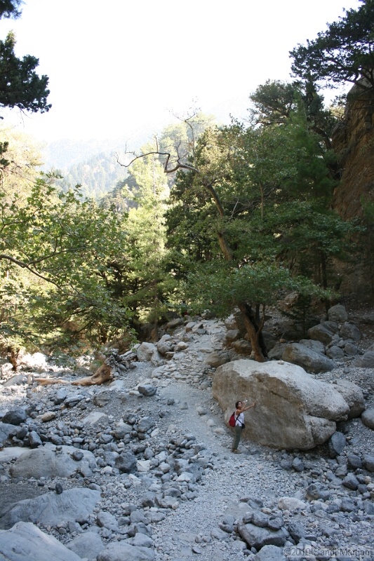 IMG_3765.jpg