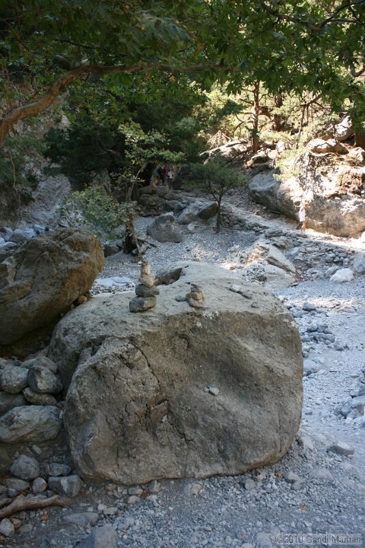IMG_3766.jpg