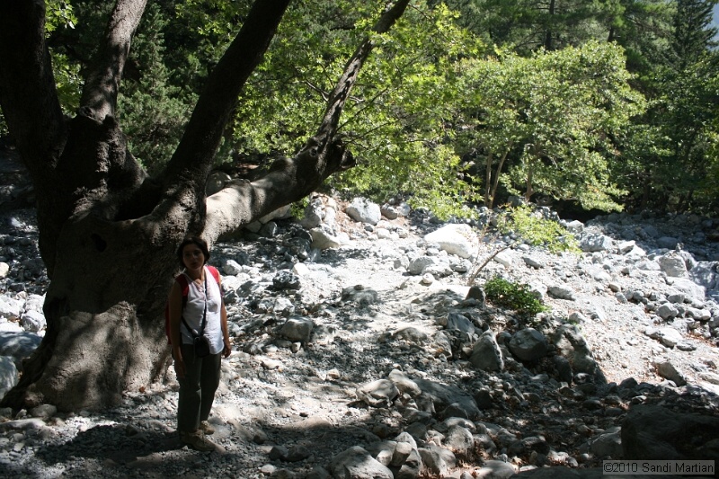 IMG_3767.jpg