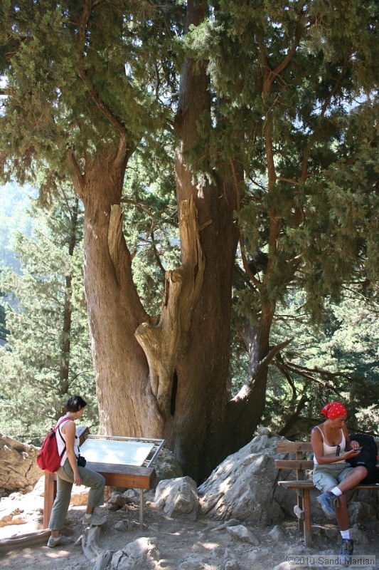 IMG_3775.jpg