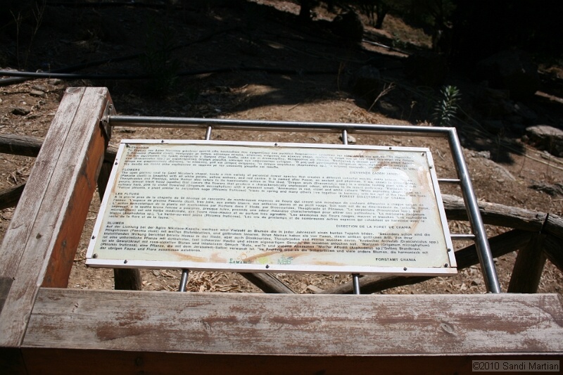 IMG_3779.jpg