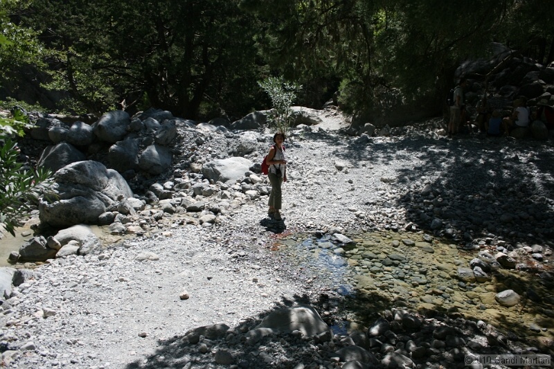 IMG_3787.jpg
