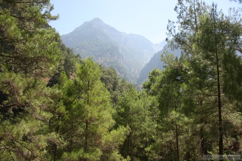 IMG_3797.jpg