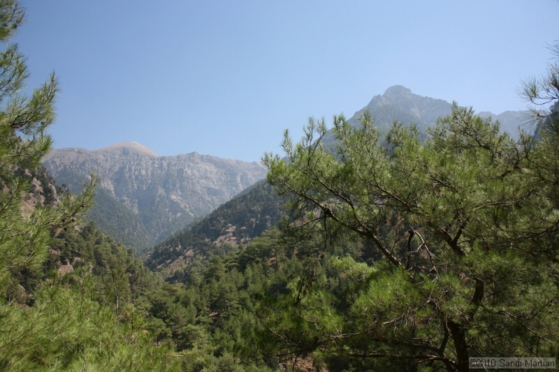 IMG_3800.jpg