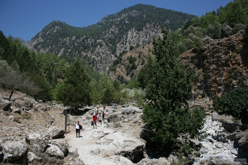 IMG_3821.jpg
