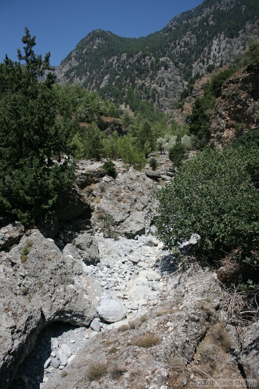 IMG_3822.jpg