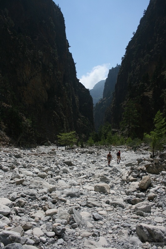 IMG_3843.jpg