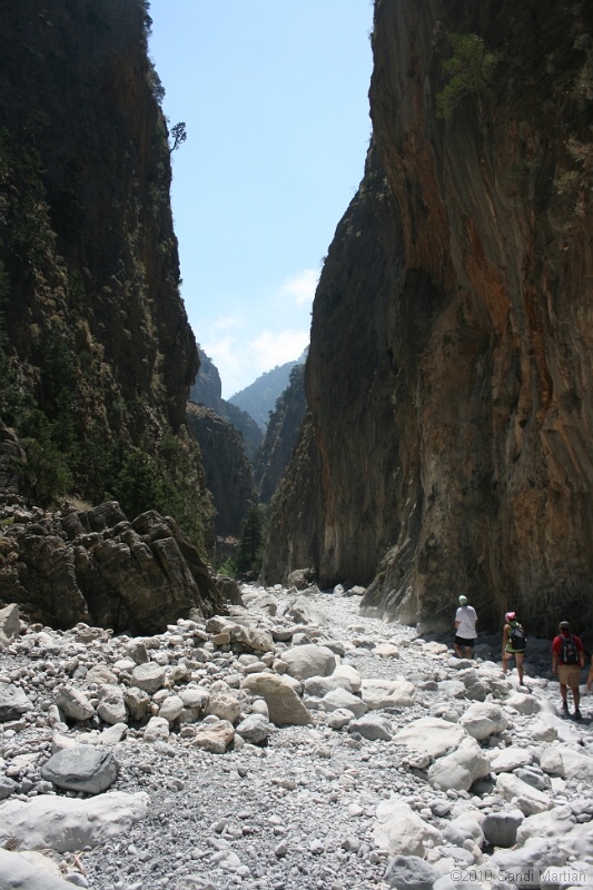 IMG_3850.jpg