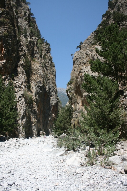 IMG_3855.jpg