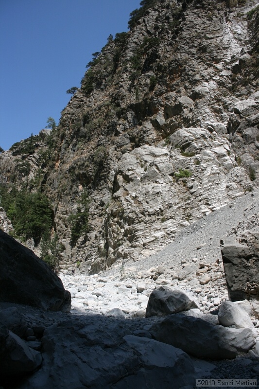 IMG_3860.jpg
