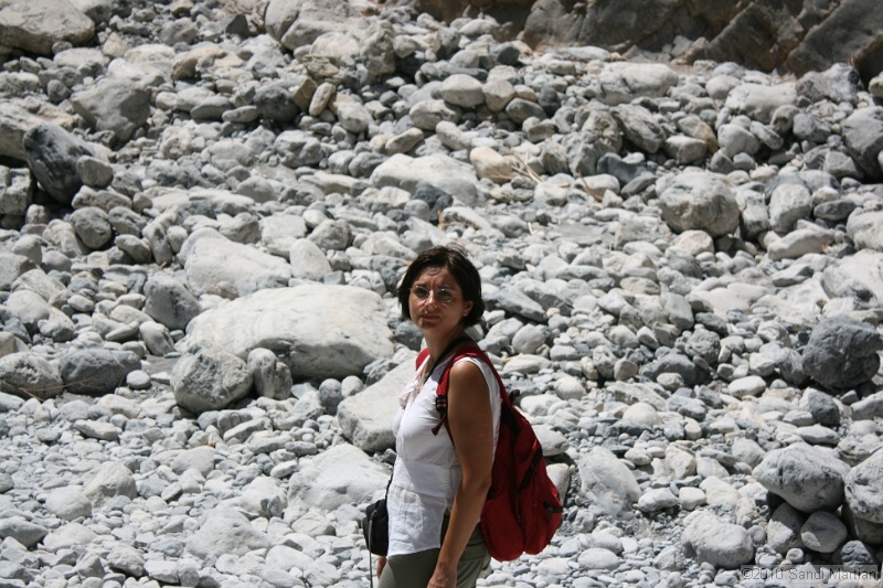 IMG_3864.jpg