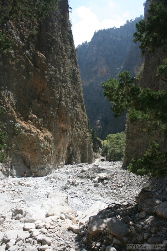 IMG_3866.jpg