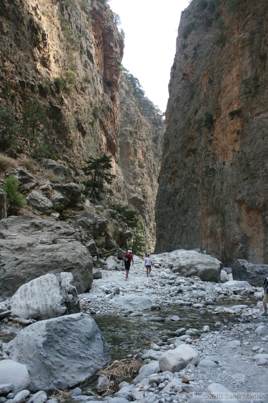 IMG_3876.jpg