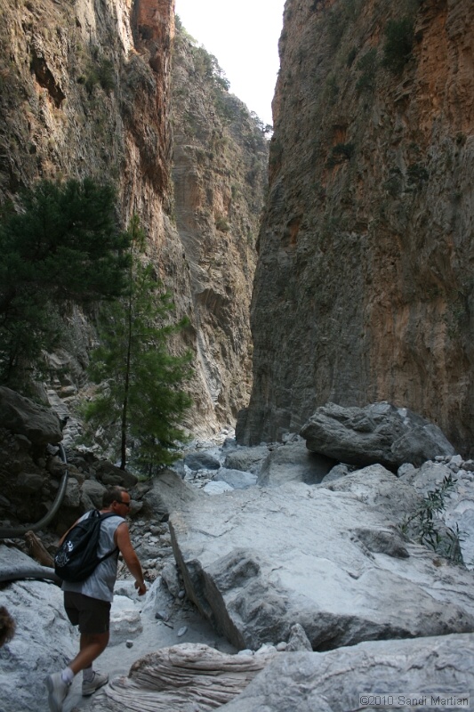 IMG_3877.jpg