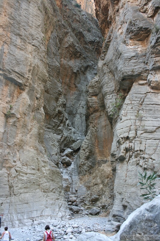 IMG_3878.jpg