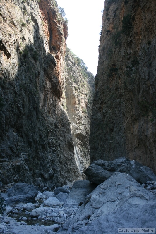 IMG_3879.jpg
