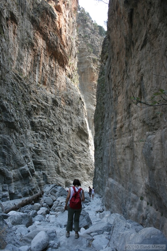 IMG_3882.jpg