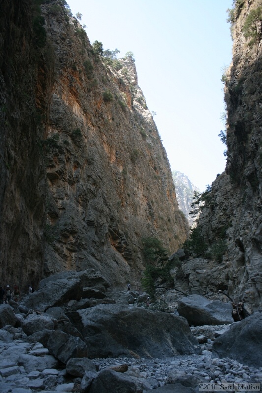 IMG_3884.jpg