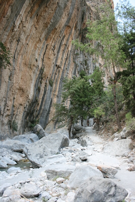 IMG_3888.jpg