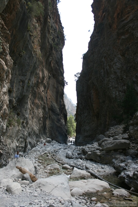 IMG_3895.jpg