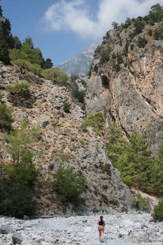 IMG_3908.jpg