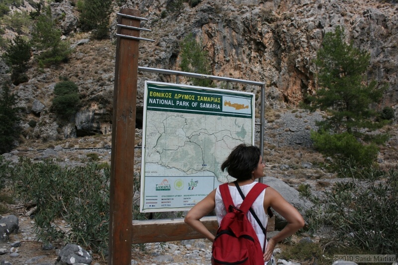 IMG_3911.jpg