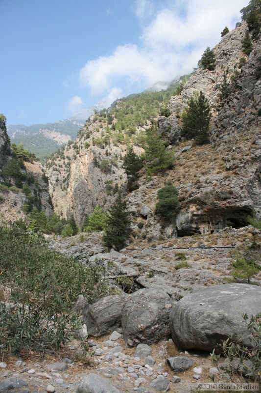 IMG_3913.jpg